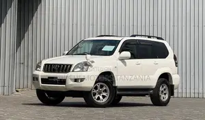Toyota Land Cruiser Prado 2006 Pearl