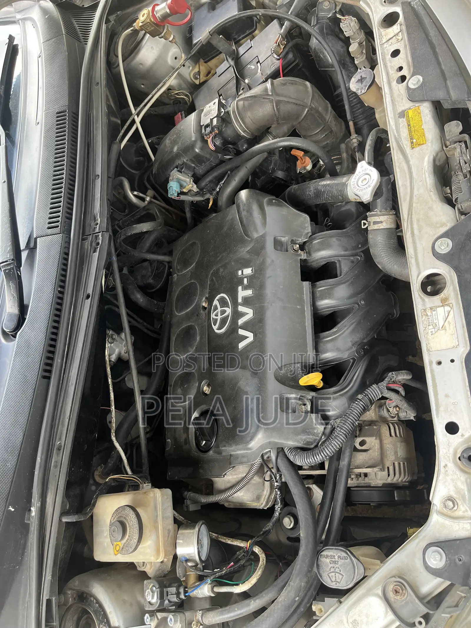 CNG Gas Asilia