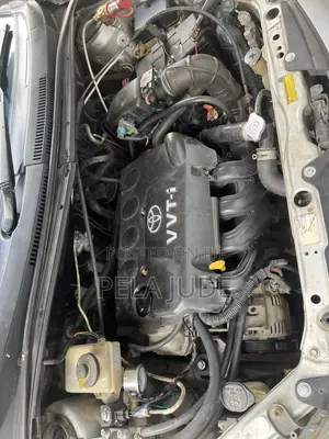 CNG Gas Asilia