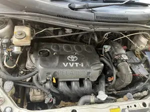 CNG Gas Asilia