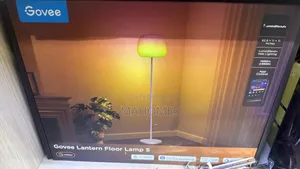 Govee Latern Floor Lamp S