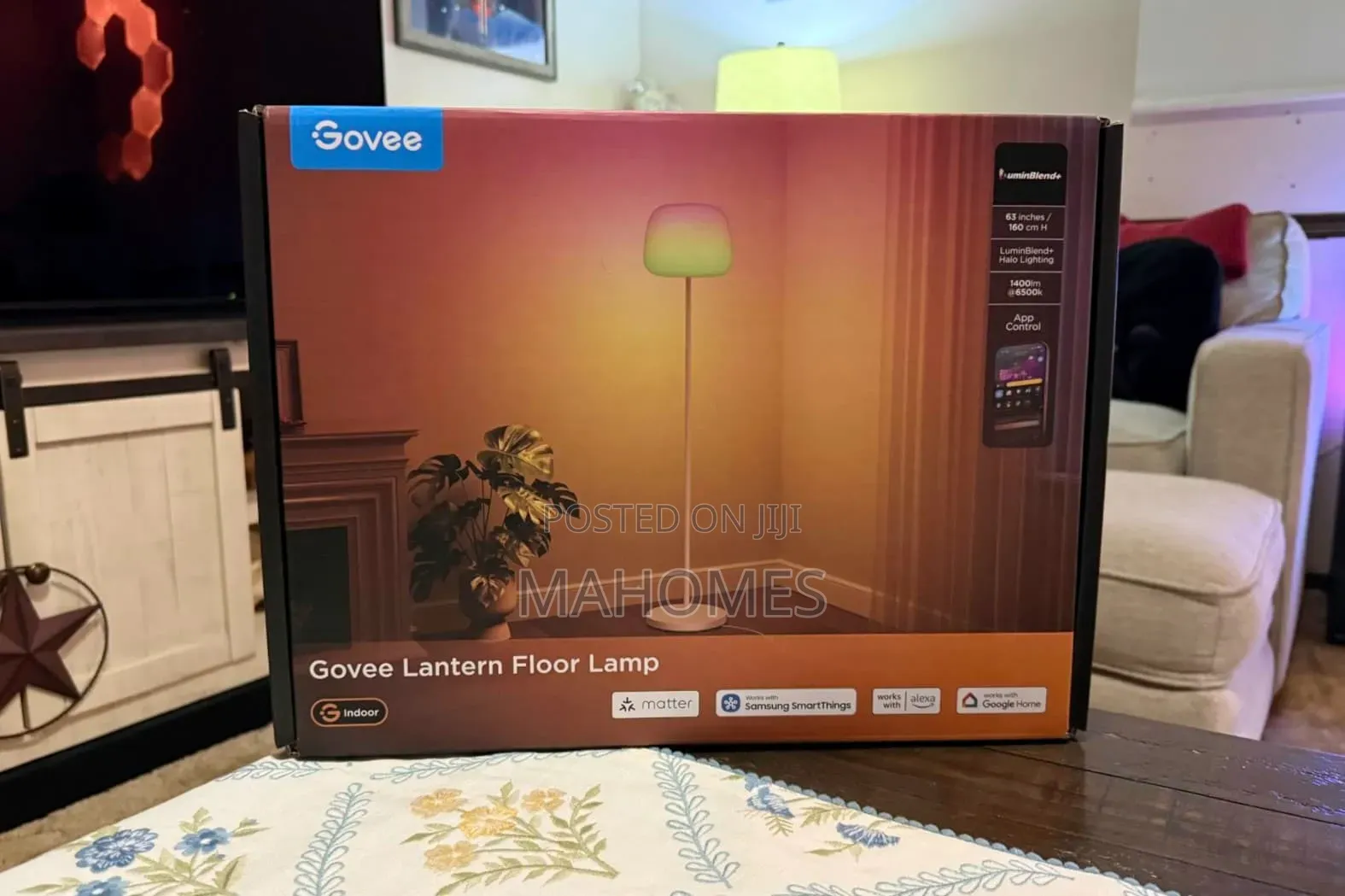 Govee Latern Floor Lamp S