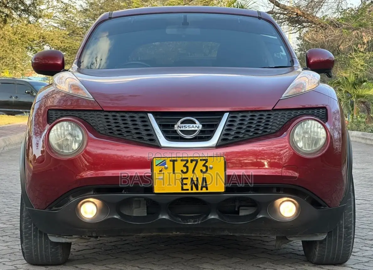 Nissan Juke 2011 Maroon