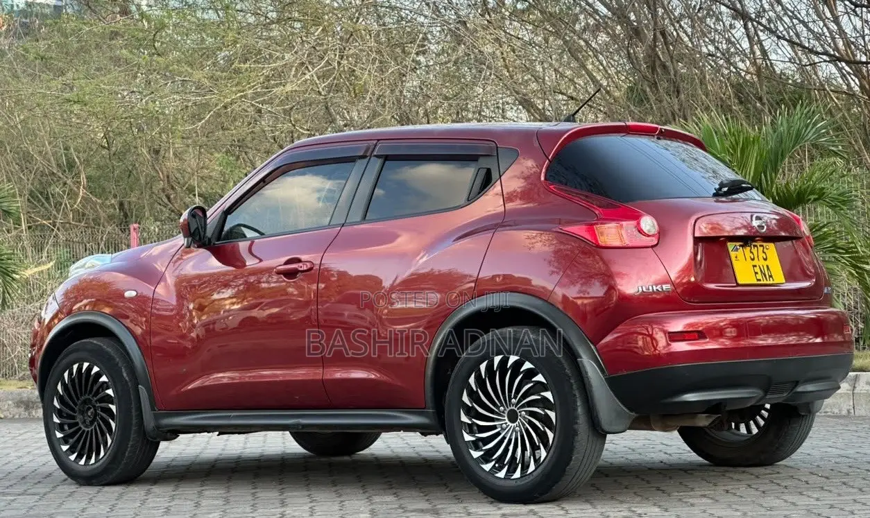 Nissan Juke 2011 Maroon