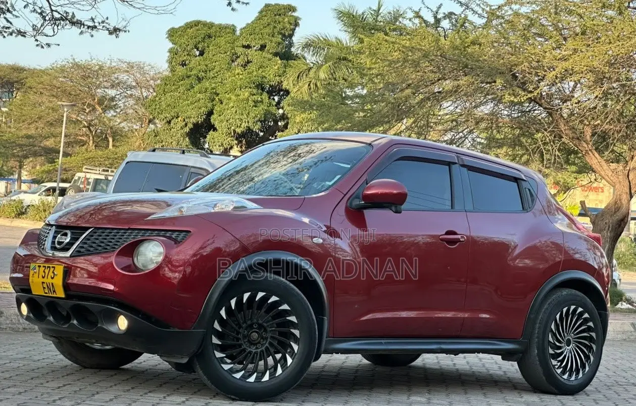 Nissan Juke 2011 Maroon
