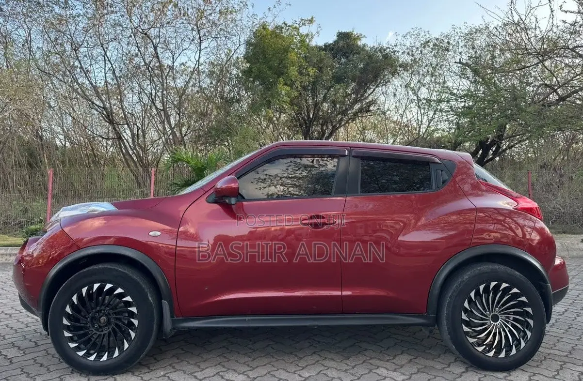 Nissan Juke 2011 Maroon