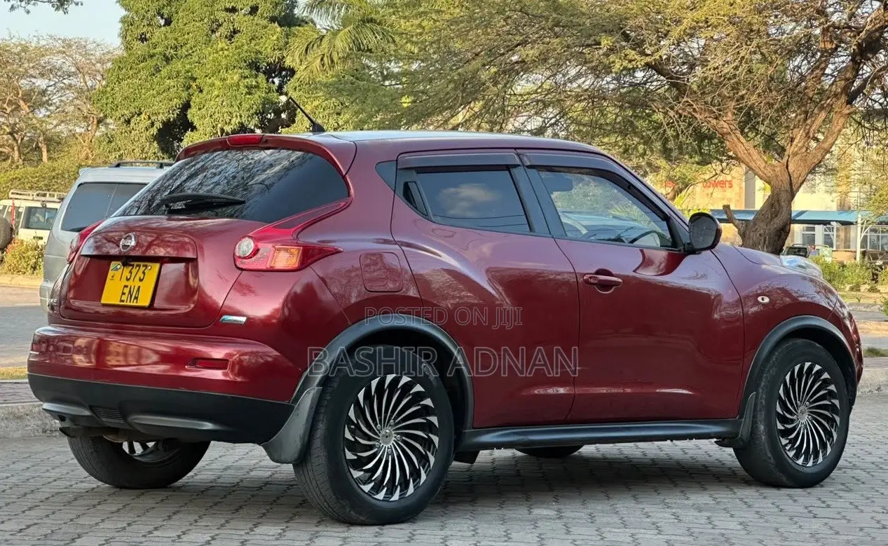 Nissan Juke 2011 Maroon