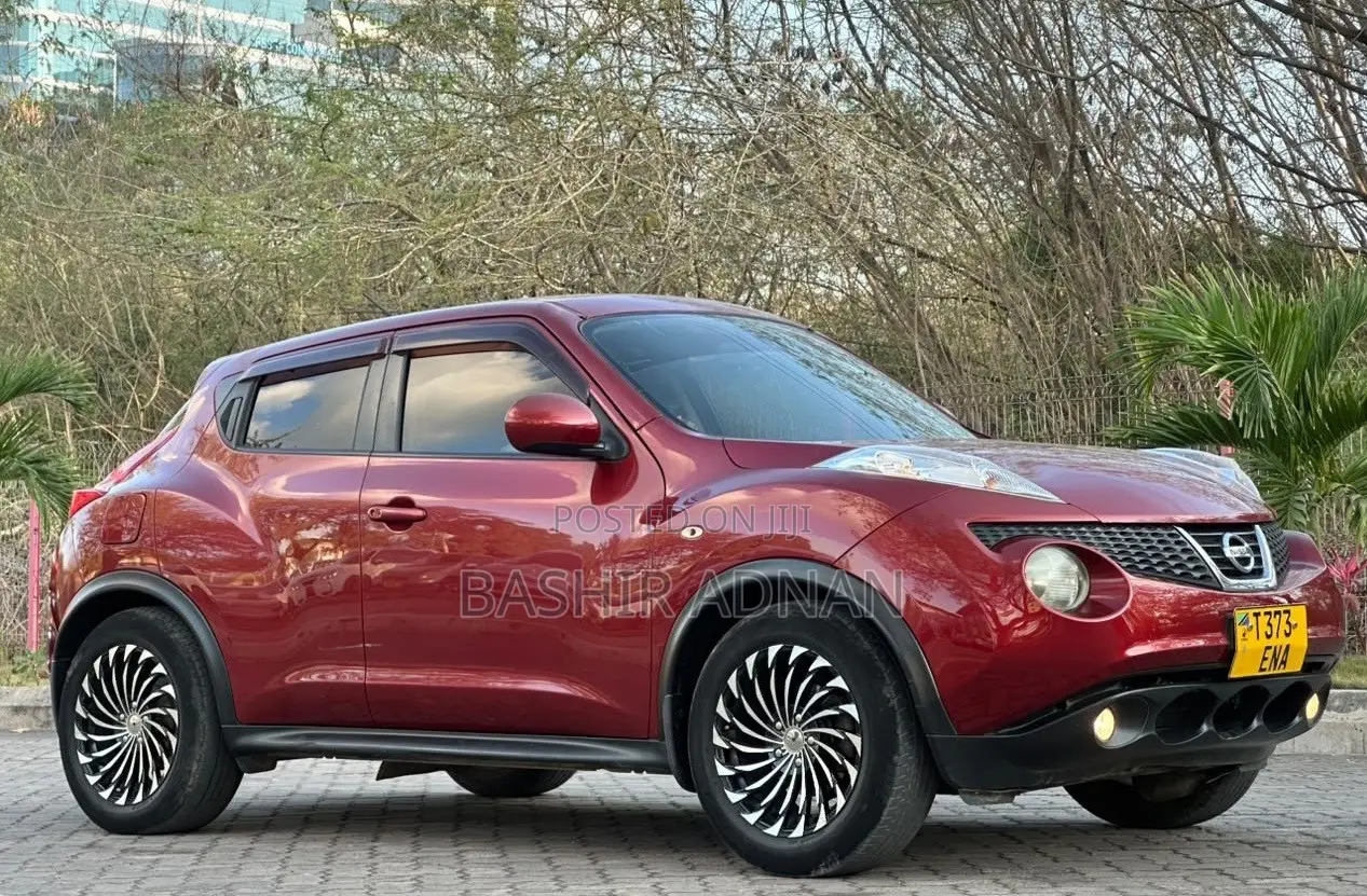Nissan Juke 2011 Maroon