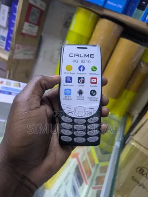 New CALME Music 500
