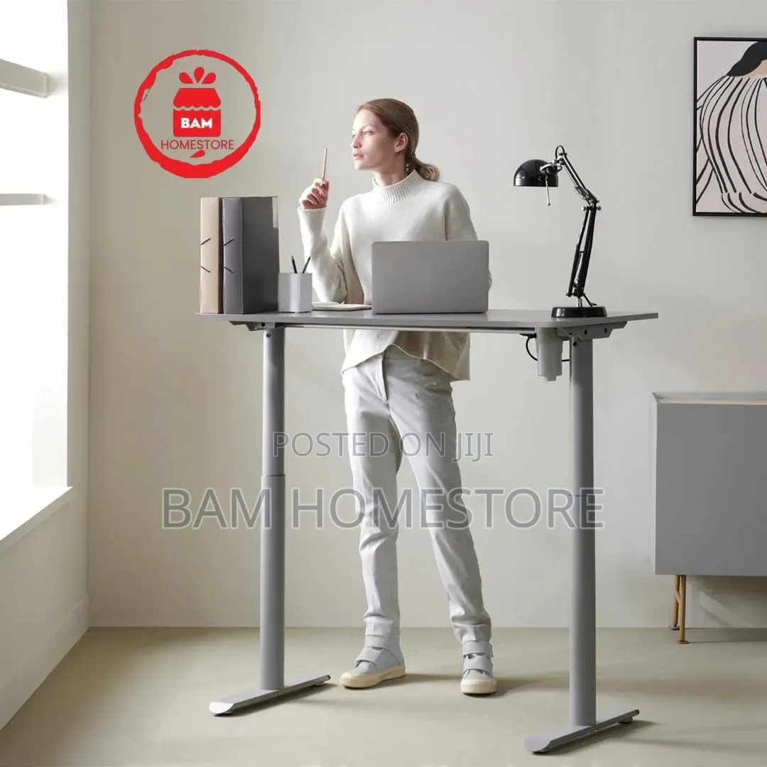 Electric Height Adjustable Standing Desk /Electric Lift Table