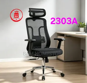 Ergonomic Office Chair 2303a/Mesh Executive Desk Chair With Headrest