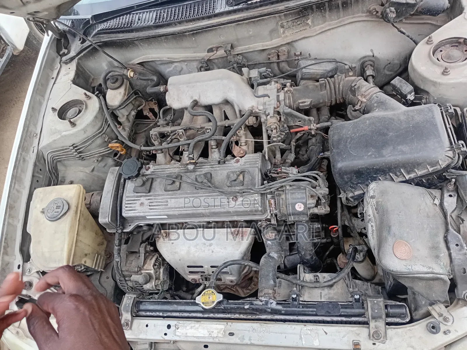 Toyota Corolla 2000 White