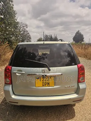 Toyota Raum 2009 Silver