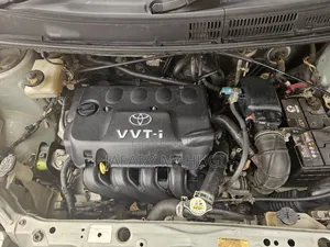 Toyota Raum 2009 Silver