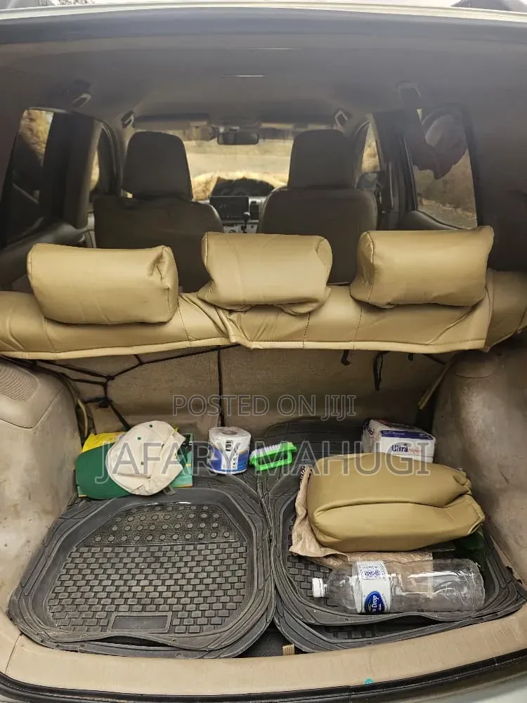 Toyota Raum 2009 Silver