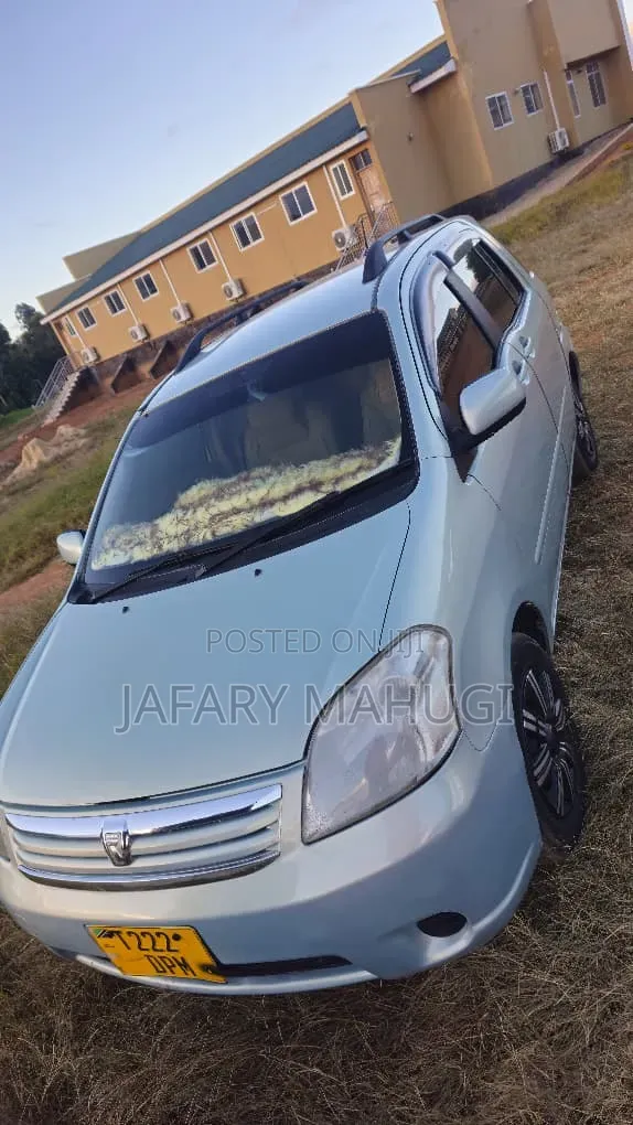 Toyota Raum 2009 Silver