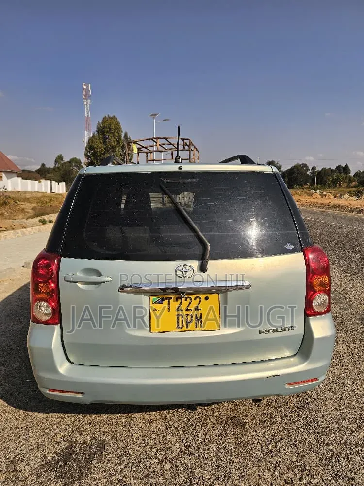 Toyota Raum 2009 Silver