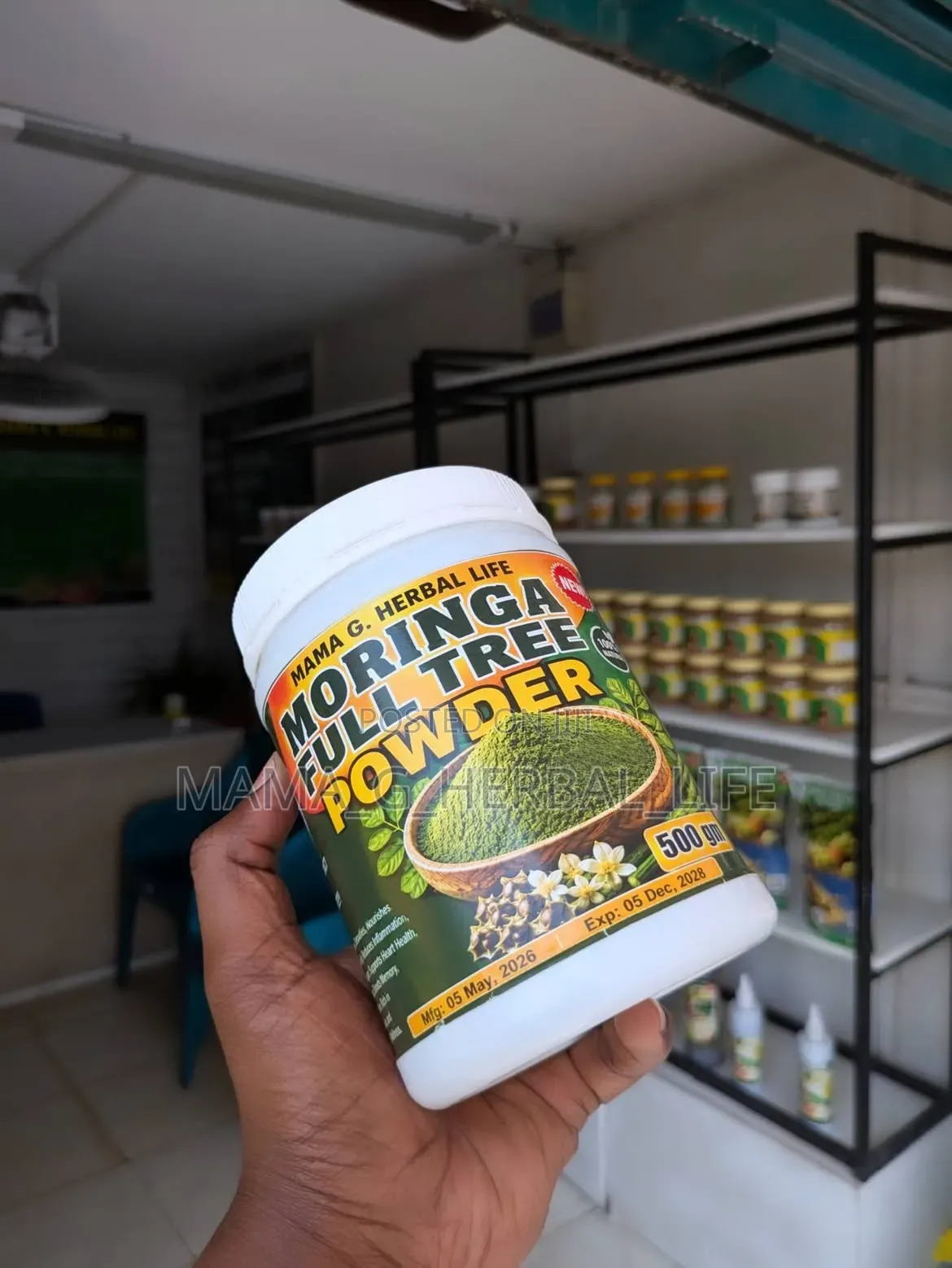 Moringa Full Tree