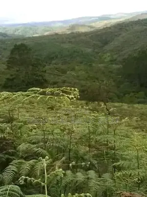 Farm for Sale Mlimba Morogoro
