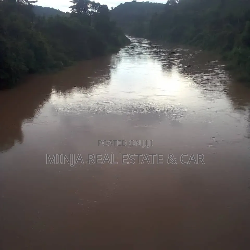 Farm for Sale Mlimba Morogoro