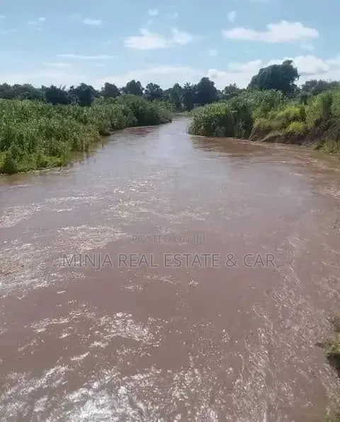 Farm for Sale Mlimba Morogoro