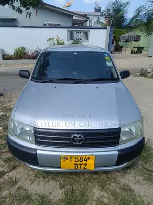 Toyota Probox 2005 Silver
