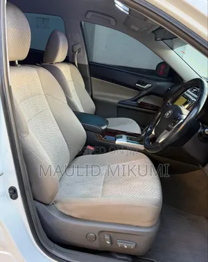 Toyota Mark X 2010 White
