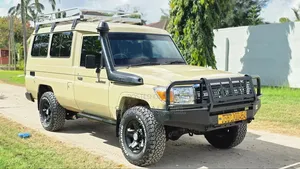 Toyota Land Cruiser 2010 Beige