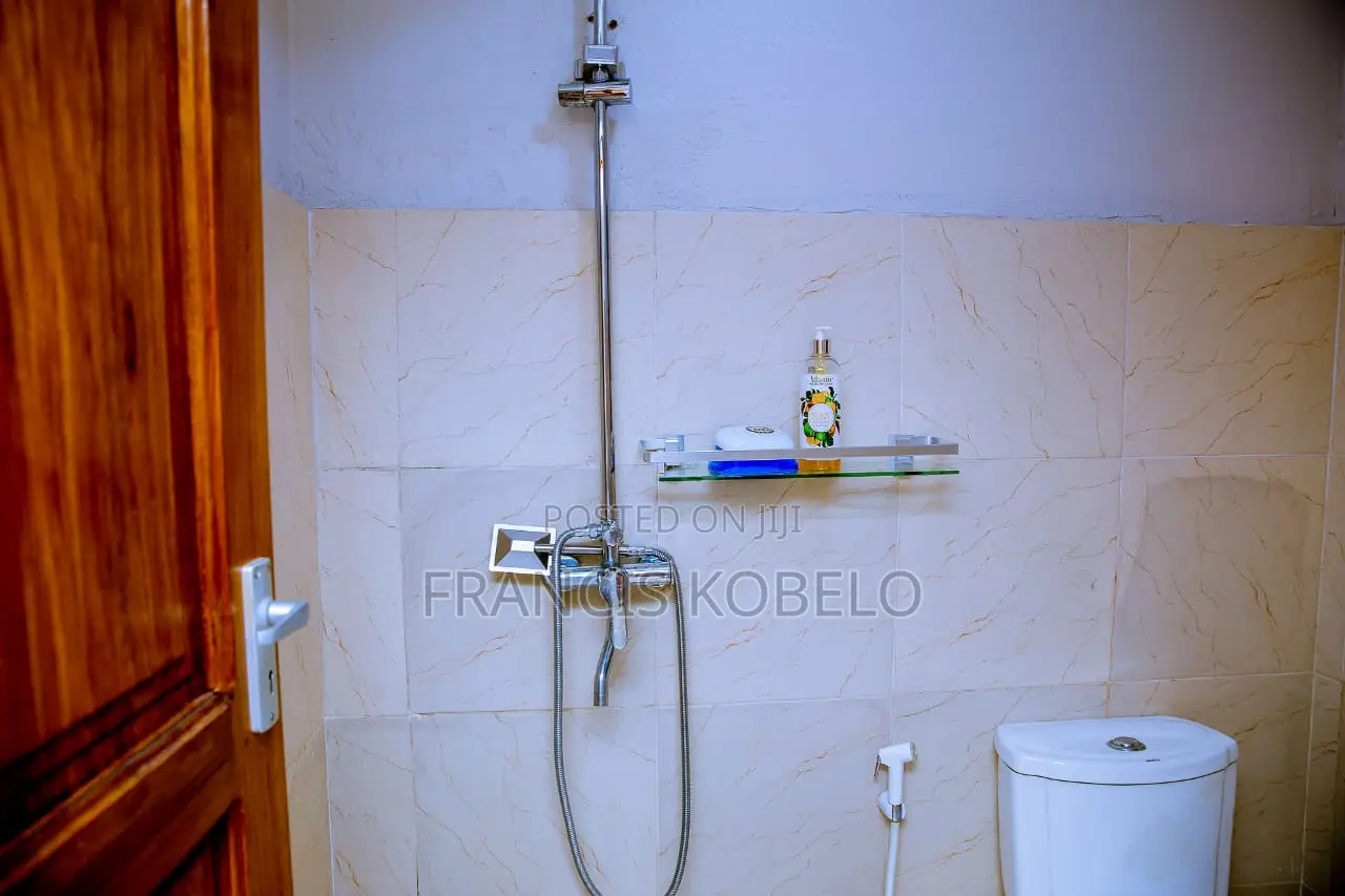 Furnished 1bdrm Apartment in Masaki for rent