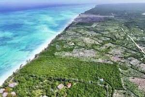 Prime Beach Plot for Sale at Nungwi Zanzibar
