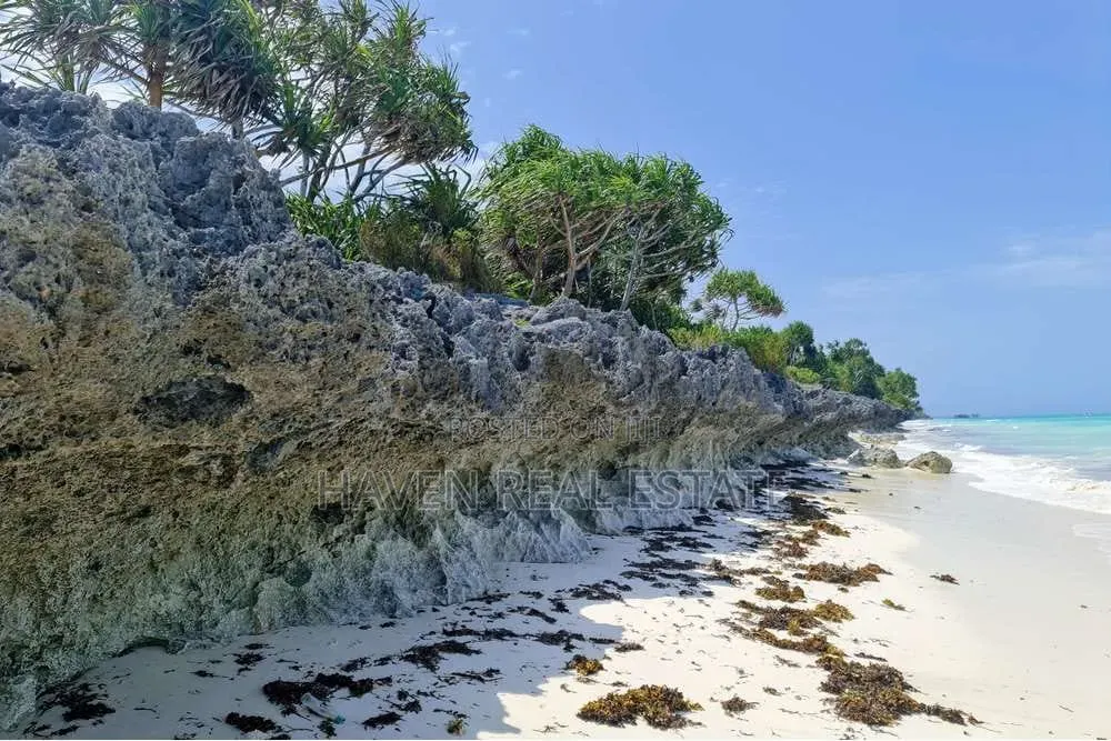 Prime Beach Plot for Sale at Nungwi Zanzibar