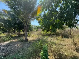 Prime Main Road Development Property for Sale at Buyu Zanzibar