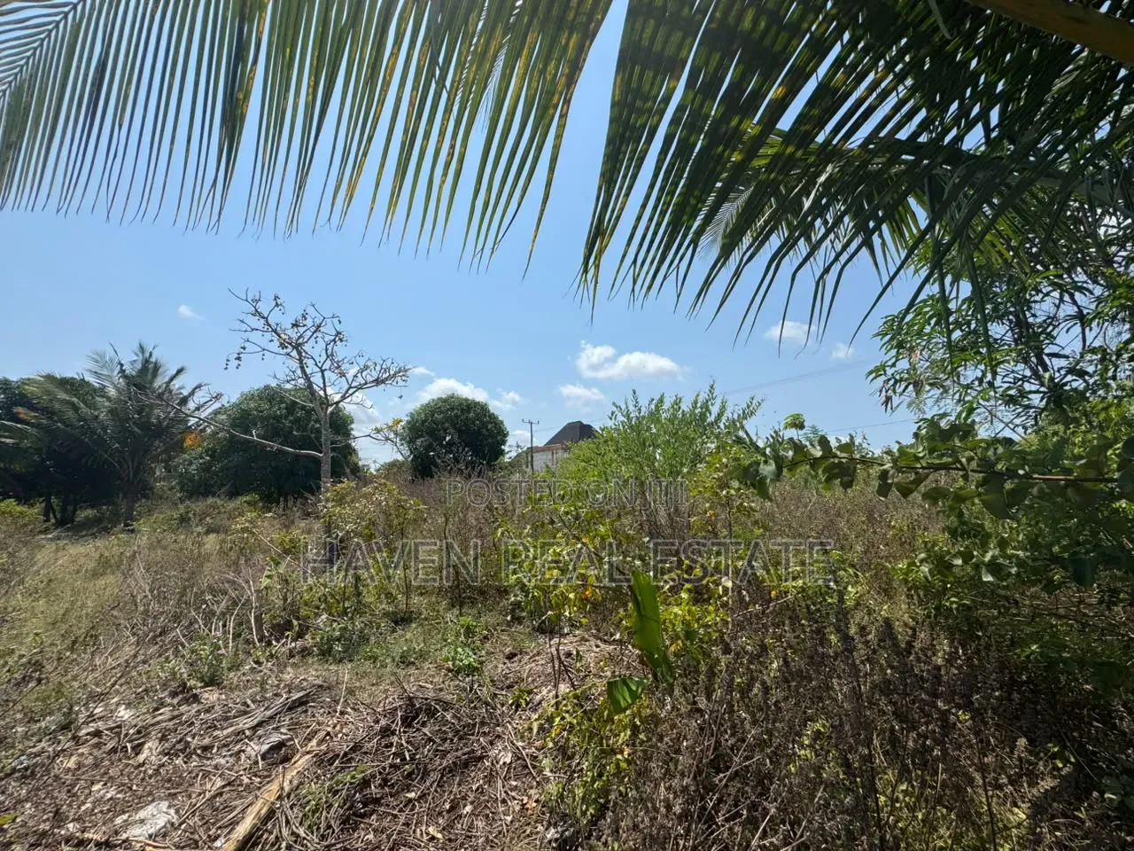 Prime Main Road Development Property for Sale at Buyu Zanzibar