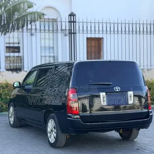 Toyota Succeed 2005 Matt Black