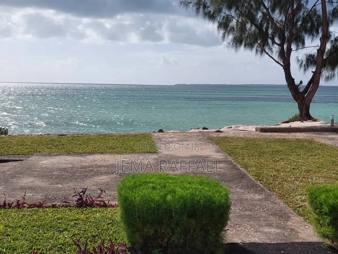 Zanzibar Beach Plot