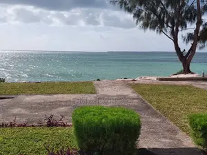 Zanzibar Beach Plot