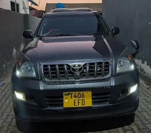 Toyota Land Cruiser Prado 2006 Gray