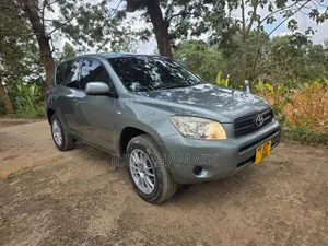 Toyota RAV4 2008 Gray
