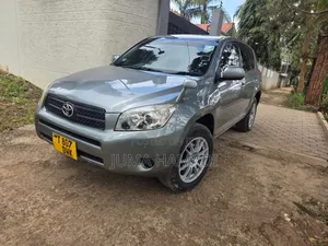 Toyota RAV4 2008 Gray