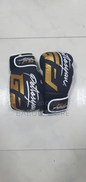Professional Boxing Gloves