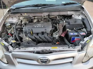 Toyota Corolla RunX 2006 Pink