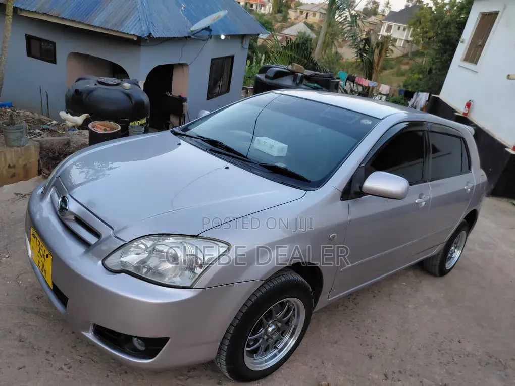 Toyota Corolla RunX 2006 Pink