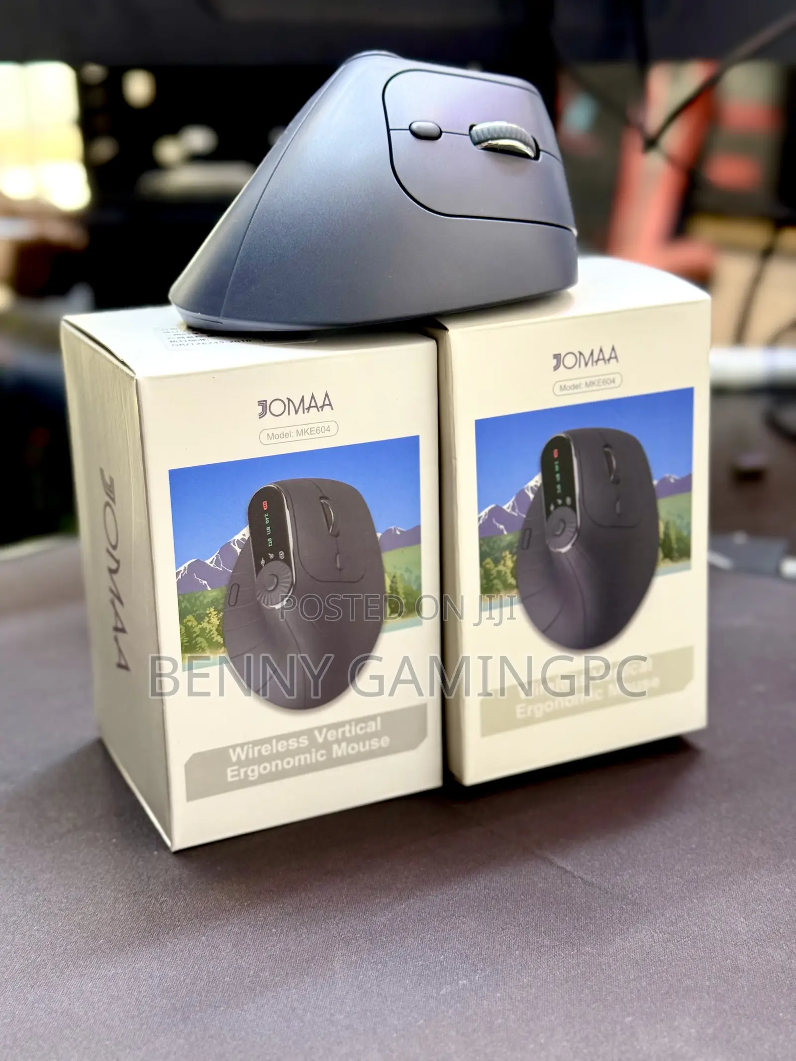 Ergonomic Mouse