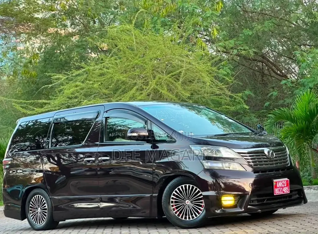 Toyota Vellfire 2010 Maroon