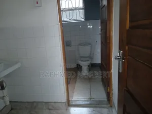 4bdrm House in Tanzania Real, Central Business Area for rent