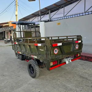 New SINORAY SR250-Q7 2021 Green
