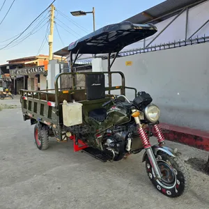 New SINORAY SR250-Q7 2021 Green