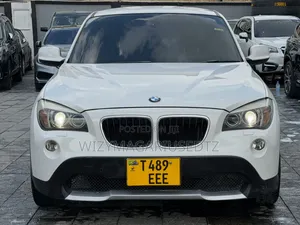 BMW X1 2010 Pearl