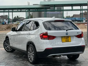 BMW X1 2010 Pearl