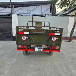 SINORAY SR250-Q7 2021 Green